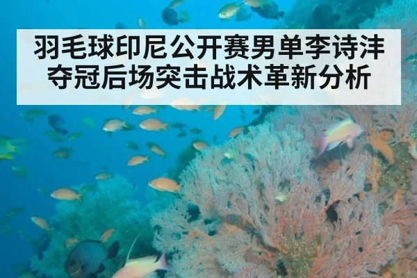 羽毛球印尼公开赛男单李诗沣夺冠后场突击战术革新分析