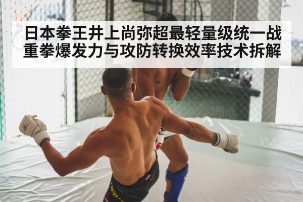 boxing fight