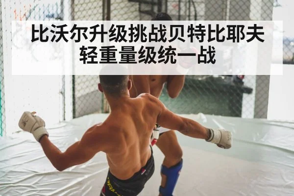 比沃尔升级挑战贝特比耶夫 轻重量级统一战