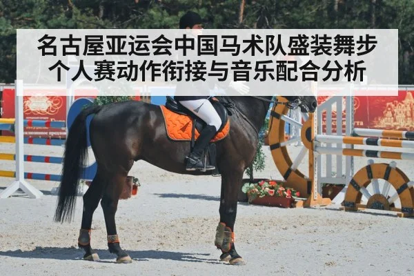 名古屋亚运会中国马术队盛装舞步个人赛动作衔接与音乐配合分析